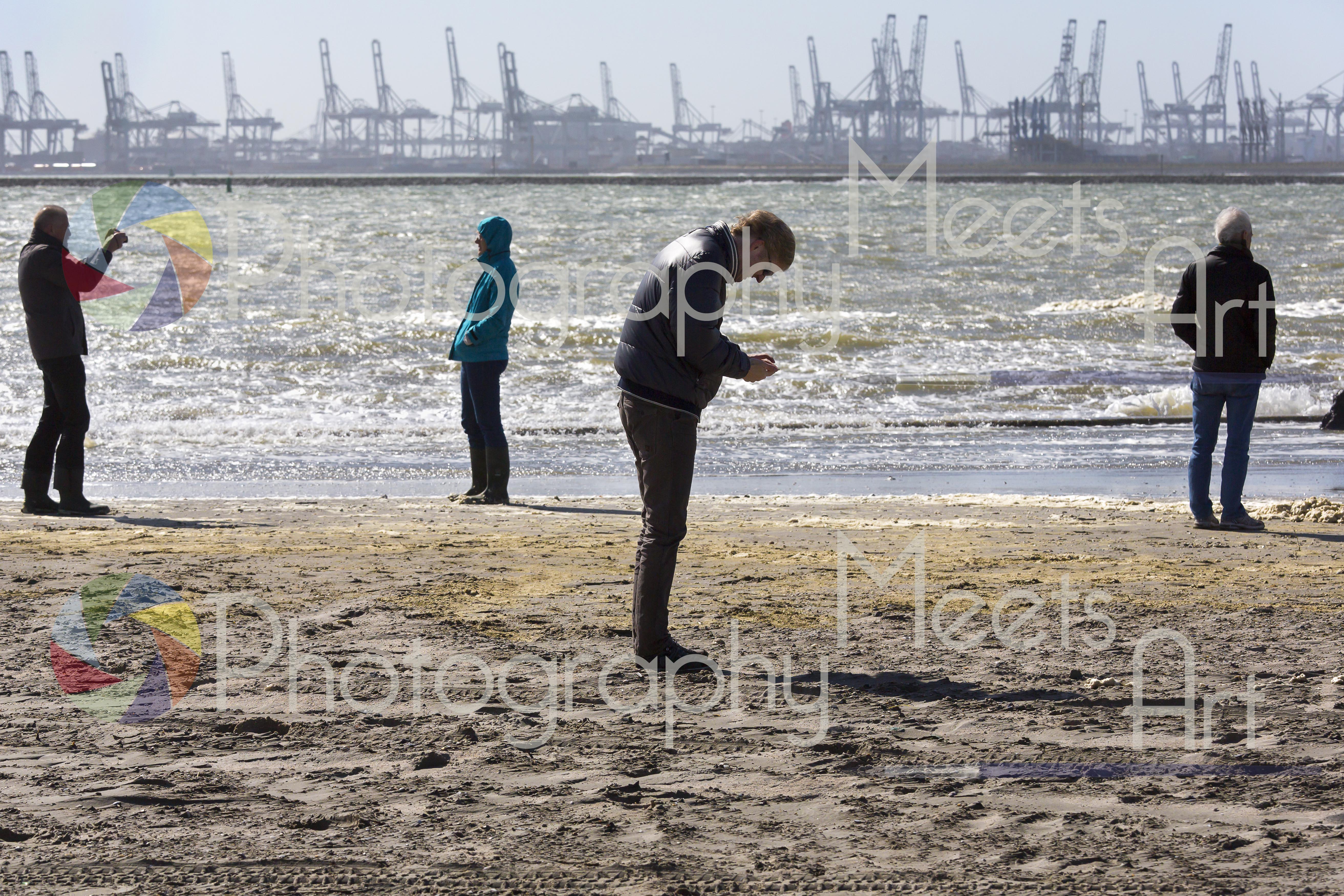 Hoek van Holland